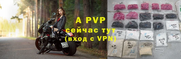 стаф Пестово