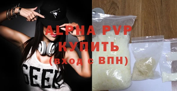 прущие грибы Покачи