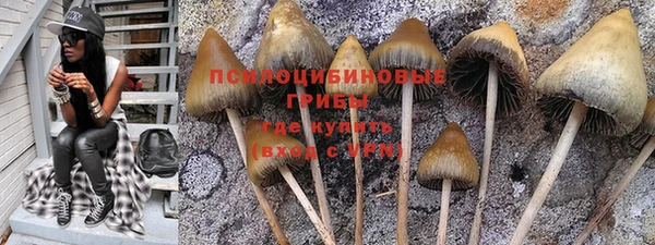 стаф Пестово