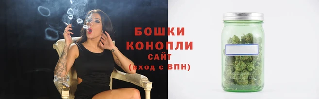 прущие грибы Покачи