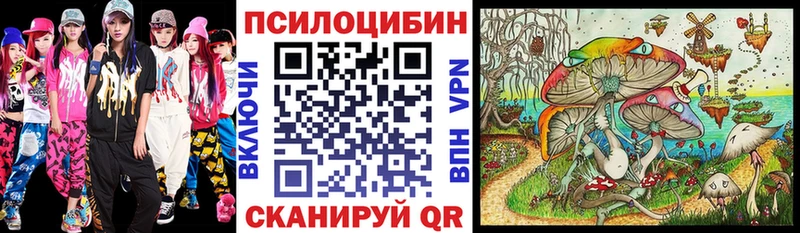 Галлюциногенные грибы GOLDEN TEACHER  ОМГ ОМГ сайт  Амурск 