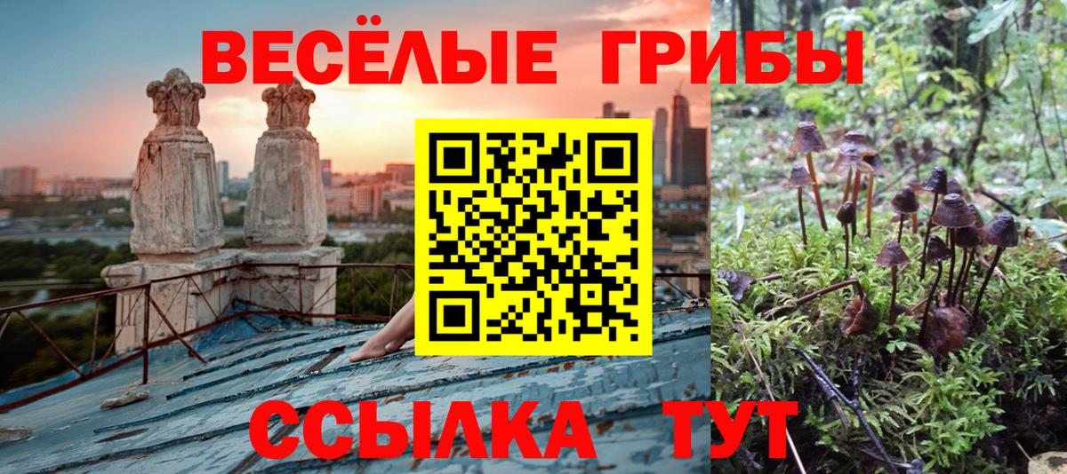 Псилоцибиновые грибы MAGIC MUSHROOMS Амурск