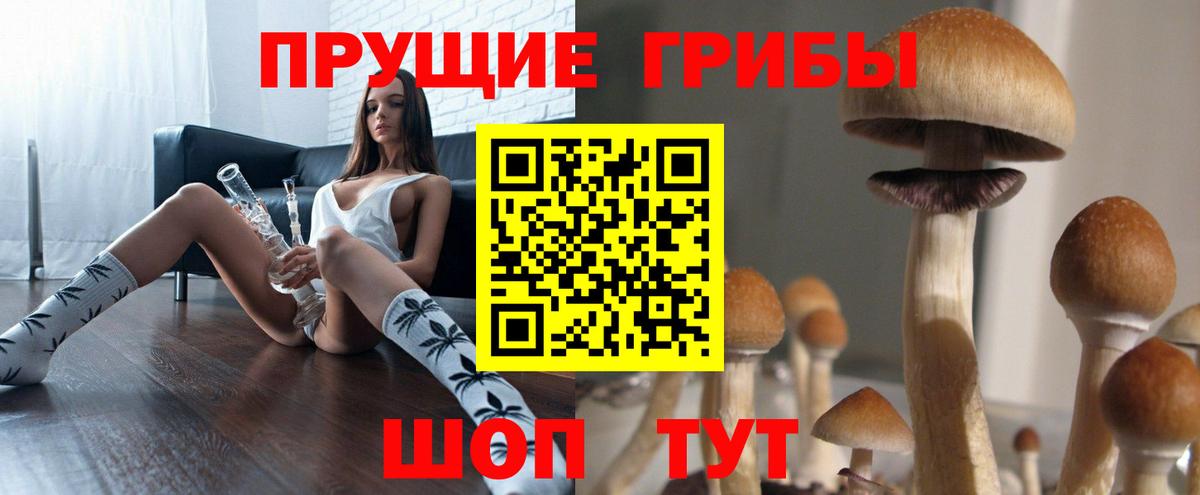 Галлюциногенные грибы мухоморы  Вход с VPN  купить наркотики цена  Псилоцибиновые грибы мухоморы  Амурск 